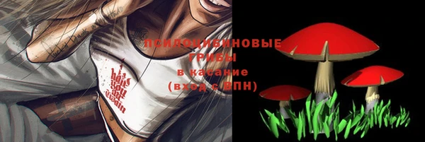 прущая мука Белокуриха