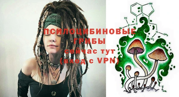 прущая мука Белокуриха